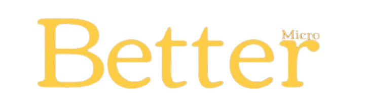 BETTER MICRO